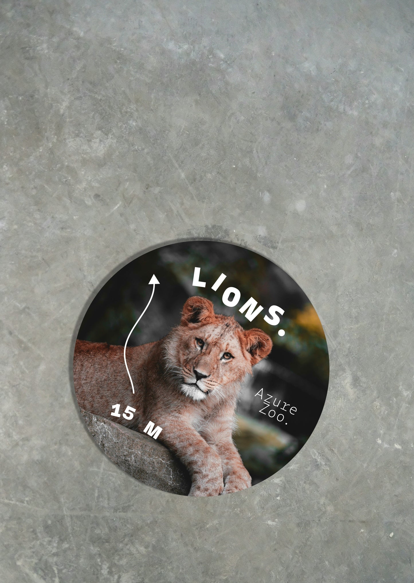 Round Floor Decal - Zoo
