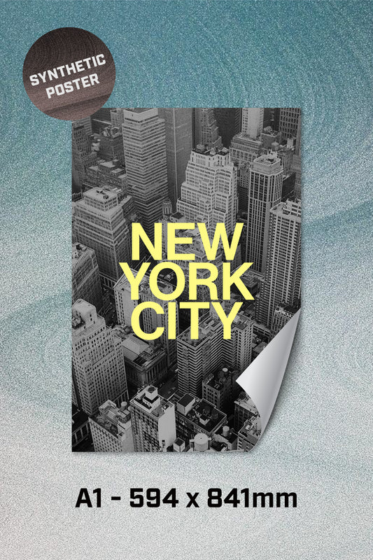 A1 Synthetic Poster