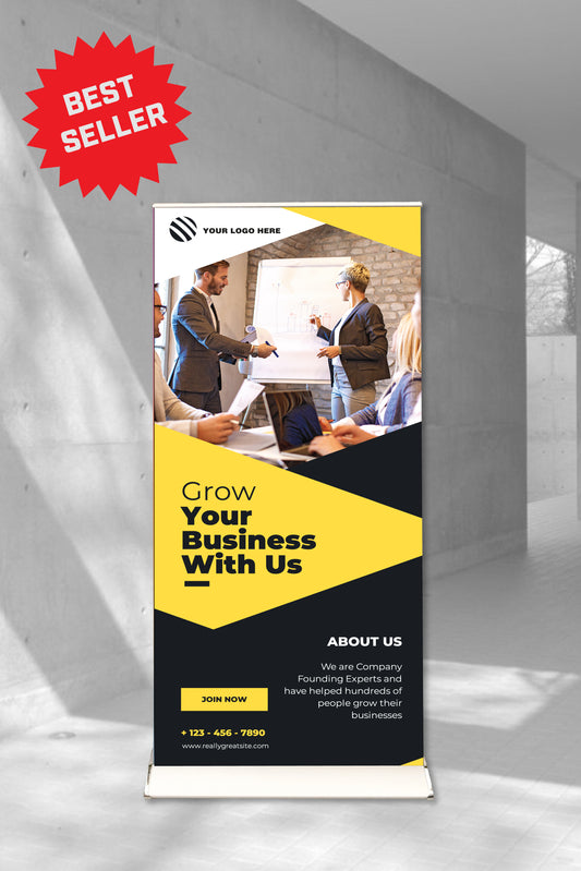 Prestige Business Consultant Pull-Up Banner Silver Frame
