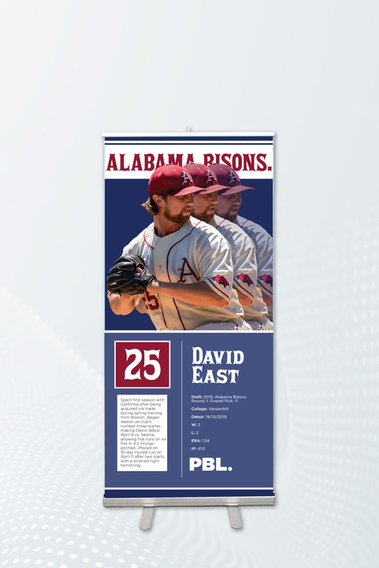 Sports Team Pull-up Banner 850 x 2000mm